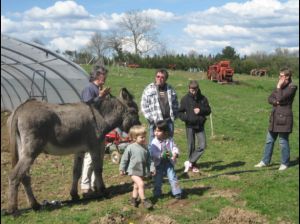 Les sauvageons accueil à la ferme