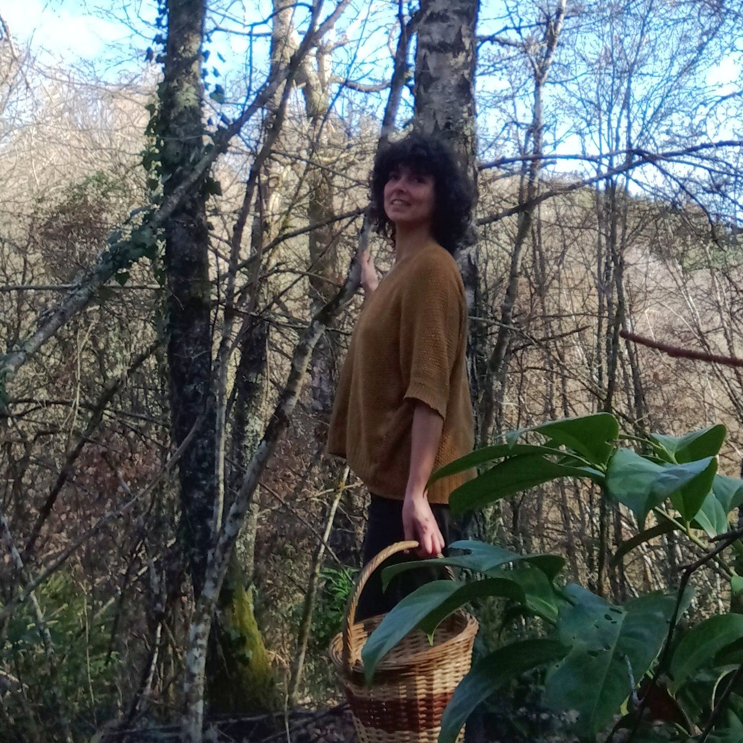 Dame des Bois